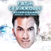 Fatih Cevikollu - Auswärtiges Amt, Teil 2