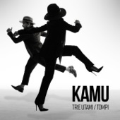 Kamu artwork