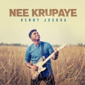 Nee Krupaye artwork