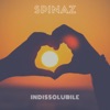 Indissolubile - Single