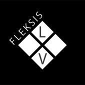 Fleksislv - Audi Mazulīt