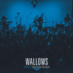 Wallows: Live at Third Man Records - Wallows