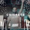 Crickets - Waheeb Nasan lyrics