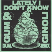 Lately I Don't Know (GUM & Ginoli Remix) artwork