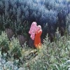 GRETA - Hydrogen