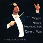 Symphony No. 25 in G Minor, K. 183: 3. Menuetto artwork