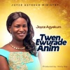 Joyce Agyekum - Nya Gyidi