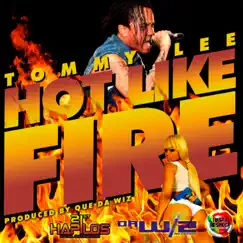 Hot Like Fire - Single by Tommy Lee album reviews, ratings, credits