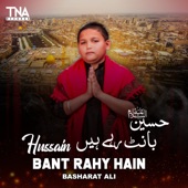 Hussain Bant Rahy Hain artwork
