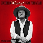 Wanted (Spanish Greatest Hits) [Remastered] artwork
