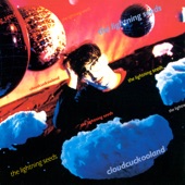 The Lightning Seeds - Pure