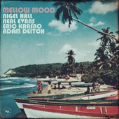 Adam Deitch - Mellow Mood