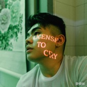 License to Cry artwork