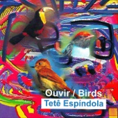 Ouvir / Birds artwork