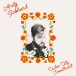 Andy Gabbard - Lonesome Psychedelic Cowboy