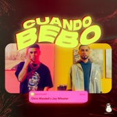 Cuando Bebo (feat. Jay Wheeler) artwork