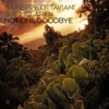 Giuseppe Ottaviani - Not One Goodbye