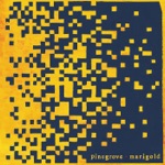 Pinegrove - Marigold