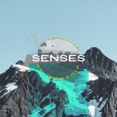 Senses - EP artwork