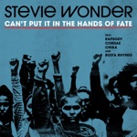 Stevie Wonder - Can't Put It In The Hands Of Fate (feat. Rapsody, Cordae, Chika & Busta Rhymes)