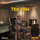 Tek Him artwork