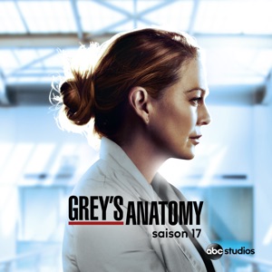Grey's Anatomy, Saison 17 (VOST) - Episode 7