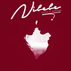 Nibebe (feat. Barnaba) Song Lyrics