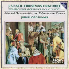 Christmas Oratorio, BWV 248: No. 8 Aria (Baß): 