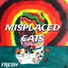 Misplaced Cats - EP