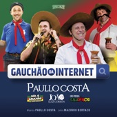 Gauchão da Internet (feat. João Luiz Corrêa, Cris Pereira "Gaudêncio" & Leo "O Gaúchão de Apartamento") artwork