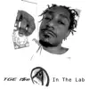 In the Lab - Single album lyrics, reviews, download