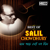 Mone Pade Sei Sab Din - Best of Salil Chowdhury - Various Artists