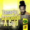 Stream & download Dancehall a Gold (feat. Tamarley) - Single