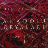 Anadolu Aryaları Vol. 1 artwork