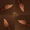BS (feat. Che Lingo) - Single album lyrics, reviews, download