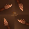 BS (feat. Che Lingo) - Single