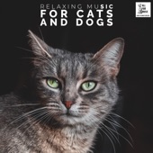 Relaxing Music For Cats and Dogs artwork
