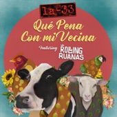 Qué Pena Con Mi Vecina (feat. Los Rolling Ruanas) artwork