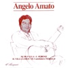 Angelo Amato - Tonadilla: Castelnuovo Tedesco