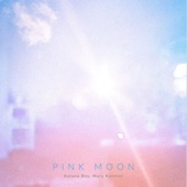 Katana Boy - Pink Moon (feat. Mary Kantner)
