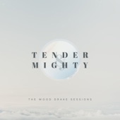 Tender and Mighty (feat. Tammy Bullock) artwork