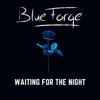 Waiting for the Night - Single