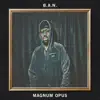 Magnum Opus album lyrics, reviews, download