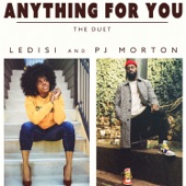 Anything For You (The Duet) artwork