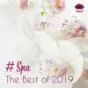 Stream & download # Spa: The Best of 2019, Tranquility & Total Relax