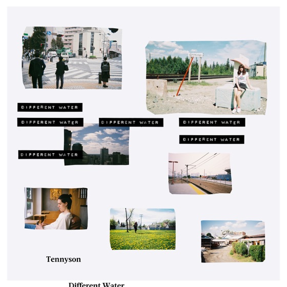 Cover artwork for Wintersleep
