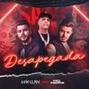 Desapegada (feat. Mc Pierre) - Single