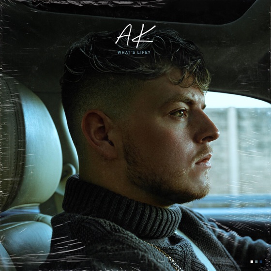 Cover artwork for What's Life?