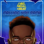 Calling You Back artwork