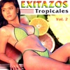 Exitazos Tropicales, Vol. 2